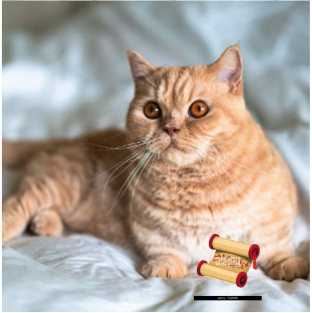 Season Three music playlist — an orange tabby cat lying on white bedding, representing the children's story and music series